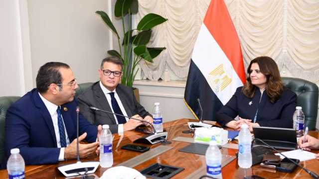 «الهجرة»: تفعيل غرفة عمليات للمصريين بالخارج قبل بدء الانتخابات الرئاسية