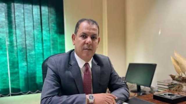 حماة الوطن: مصر تقف «كتف بكتف» مع الشعب الفلسطيني
