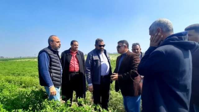 لجنة لمعاينة خطوط رفع الجهد الكهربائي لتحسين جودة الخدمة في المنيا