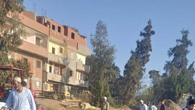 المحصول وفير.. فرحة المزارعين أثناء حصاد البطاطس في المنوفية (فيديو)