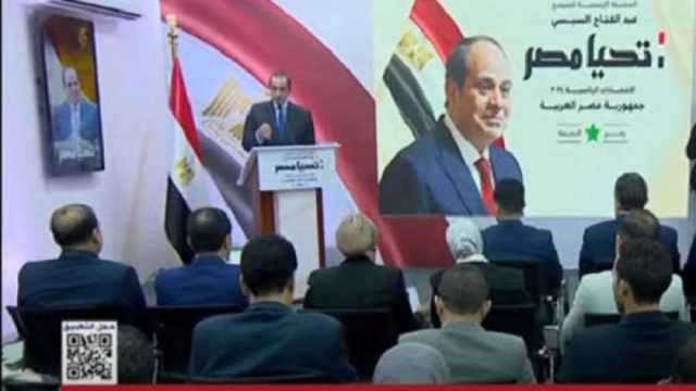المستشار محمود فوزي للمصريين بالخارج: الدولة سعت إليكم بكل ما تستطيع