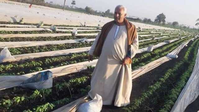 مطالب الفلاحين من الحكومة قبل عيد الفلاح الـ71.. بينها الزراعة التعاقدية
