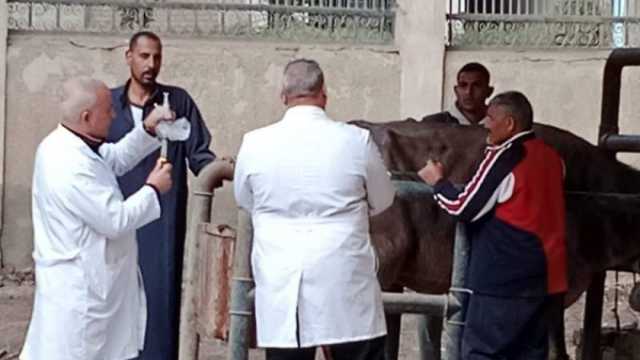 «بيطري الشرقية» ينظم قافلة مجانية في قرية بني هلال بمنيا القمح