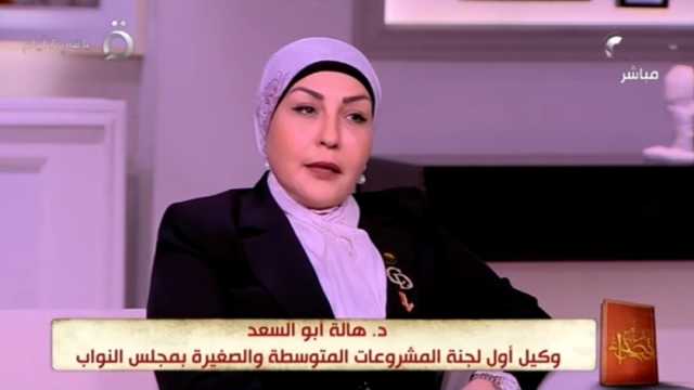 هالة أبو السعد: لدينا إشكالية في تطبيق قانون المشروعات المتوسطة