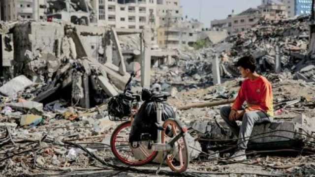 باحث: مباحثات شكري وديفيد كاميرون هدفها حل الموقف المتأزم في غزة