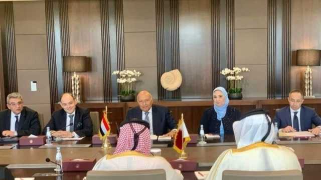 وزير التجارة: الحكومة لا تدخر جهدا لدعم الشركات القطرية المستثمرة بالسوق المصرية