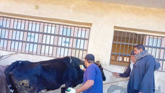 علاج 5600 رأس ماشية ضمن قافلة بيطرية ضمن «حياة كريمة» بالفيوم