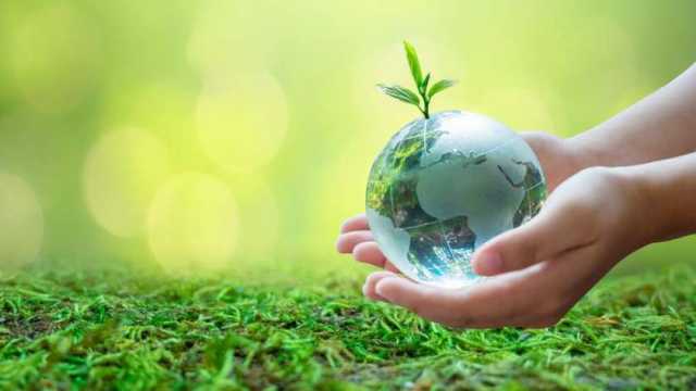 كيف يسهم الاقتصاد الحيوي في تحقيق عوائد استثمارية وتنموية؟.. خبيران يوضحان