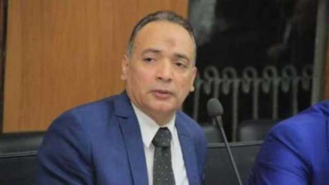 رئيس الأحرار الاشتراكيين: الدولة قطعت شوطا كبيرا في بناء الجمهورية الجديدة