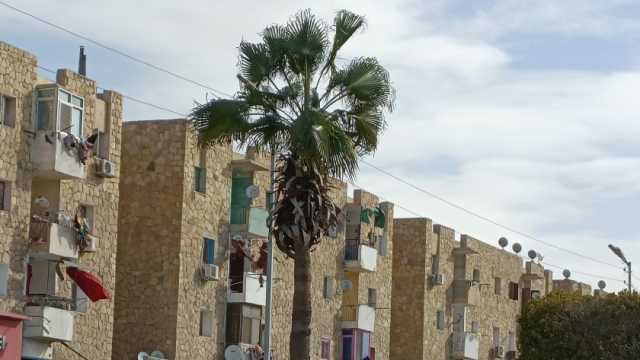 نشاط للرياح في الإسماعيلية وشبكة الطورائ تحذر من سقوط اللافتات والأعمدة