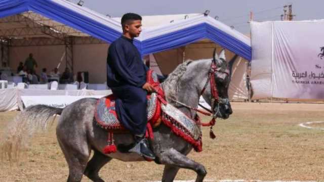 انطلاق مسابقات تراث وأدب الخيل بأرض الفروسية في الشرقية