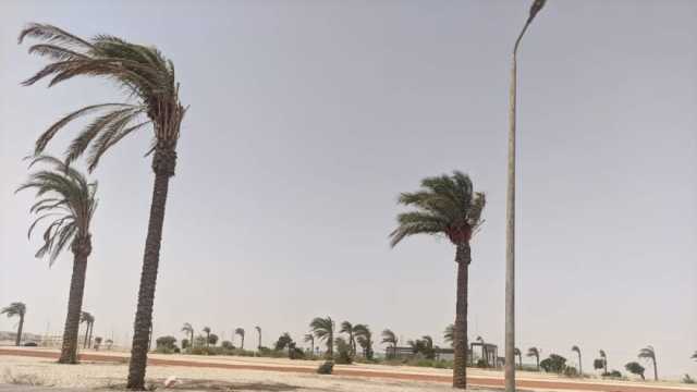 عاصفة ترابية تضرب مدن البحر الأحمر.. وتحذير من اقتراب «دانيال» (صور)