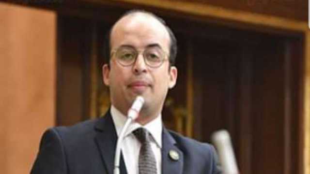 نائب «التنسيقية»: قرارات العفو الرئاسي تخلق مناخا ملائما للعمل السياسي