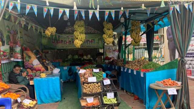 أرخص أماكن بيع الفاكهة والخضروات في الدقهلية.. كيلو الطماطم بـ5 جنيهات