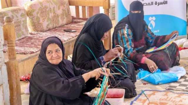 تنظيم ورش تدريبية لدعم المشروعات الصغيرة ضمن «حياة كريمة» بأسوان