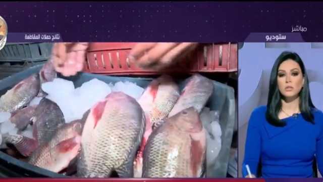 منسق حملة مقاطعة شراء الأسماك ببورسعيد: الانخفاض وصل لـ40% خلال 10 أيام