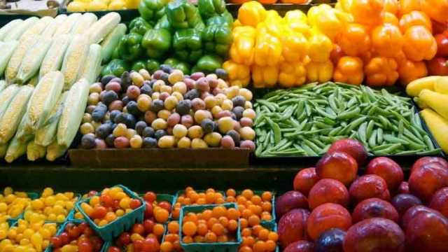 تقرير حكومي: نمو التجارة الخارجية لمصر مع الدول الأفريقية بنسبة 1.7%