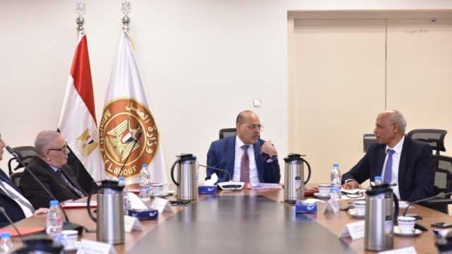 وزير العمل: صرفنا 2.2 مليار جنيه دعما لـ424 ألف عامل في 3986 منشأة