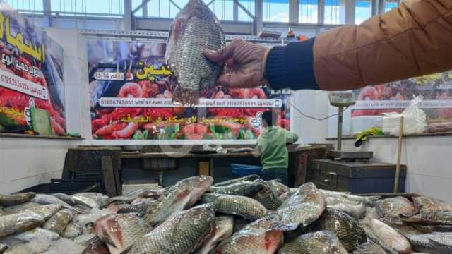 أسعار السمك اليوم.. كيلو الجمبري يبدأ من 175 جنيها