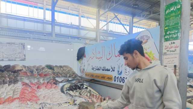 بدء تطبيق قرار منع تداول أسماك البحر الأحمر في الأسواق لمدة 75 يوما