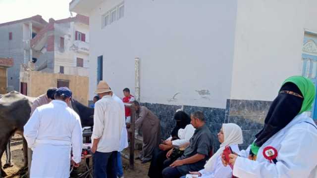 «الصحة العامة»: شرب الماء 5 مرات للماشية مهم جدا للحماية من الأمراض