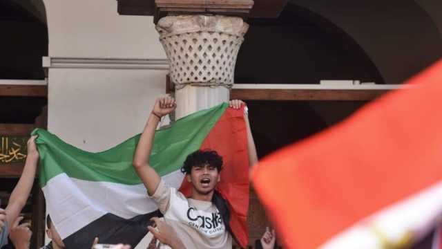 عضو بـ«النواب»: المجلس وضع توصيات قوية لدول العالم دعما للقضية الفلسطينية