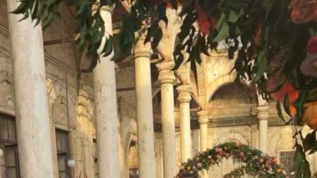 6 معلومات عن ابنة مفيدة شيحة بعد عقد قرانها.. وحيدة والديها