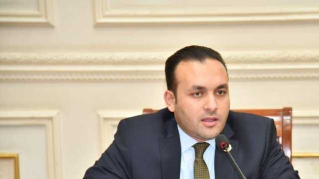 عضو بـ«الشيوخ»: كلمة الرئيس في قمة بريكس أكدت اهتمام مصر بدعم حق الدول النامية