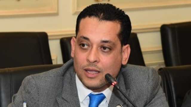 نشأت العمدة: مصر تبذل جهودا مضنية لوقف الحرب في قطاع غزة