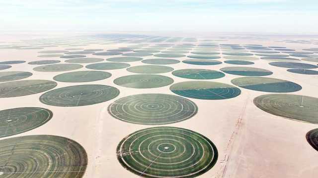 مسؤولو «تنمية جنوب الوادي»: الفضل في نجاح مشروع توشكى يرجع لدعم الرئيس