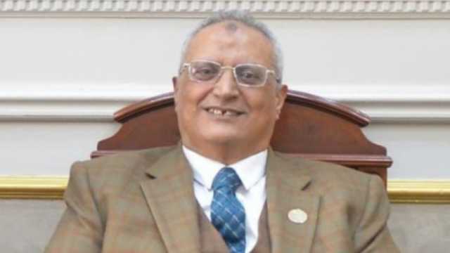 عضو بـ«الشيوخ»: مصر أصبحت وجهة للاستثمارات الأوروبية