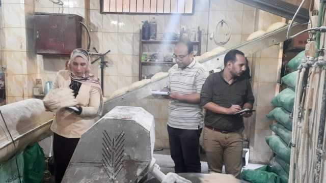 ضبط 116 مخالفة تموينية في حملات على الأسواق بالدقهلية