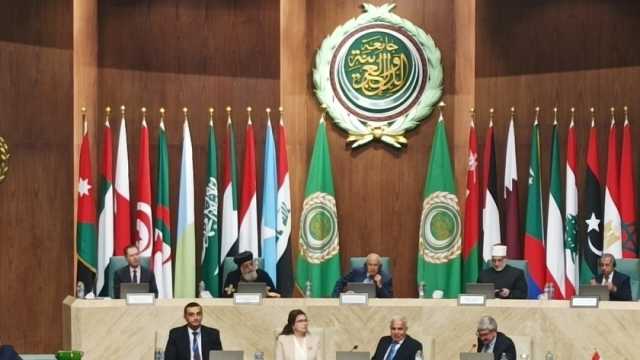 أبو الغيط: القضية الفلسطينية ذروة تجسيد العنصرية في وقتنا الحالي