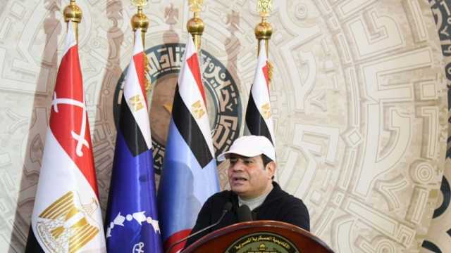 السيسي يتلقى اتصالا من مستشار النمسا لبحث الأوضاع بين الفلسطينين والإسرائيليين