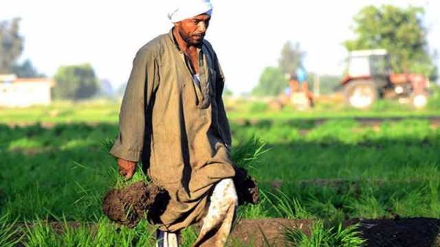 بمناسبة عيده الـ72..«الزراعة»: الفلاح أولوية عند التخطيط لأي تنمية مستقبلية