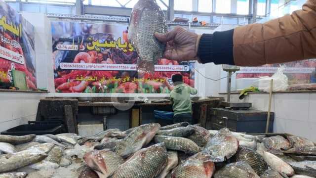 أسعار السمك والجمبري اليوم الخميس 4-4-2024 في الأسواق