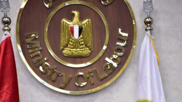 حسن شحاتة: مصر داعمة لكل عمل عربي مشترك يؤدي لمزيد من التنمية