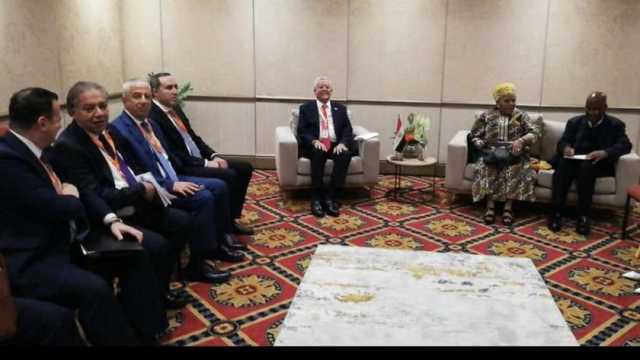 حنفي جبالي يلتقي رئيسي غرفتي البرلمان في جنوب إفريقيا