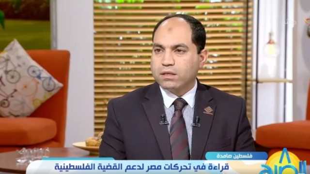 عضو بـ«النواب»: مذكرة مصر أمام «العدل الدولية» توثق اعتداء إسرائيل على فلسطين