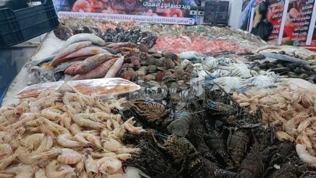 مفاجأة في أسعار السمك البلطي قبل رمضان.. «الكيلو بكام؟»