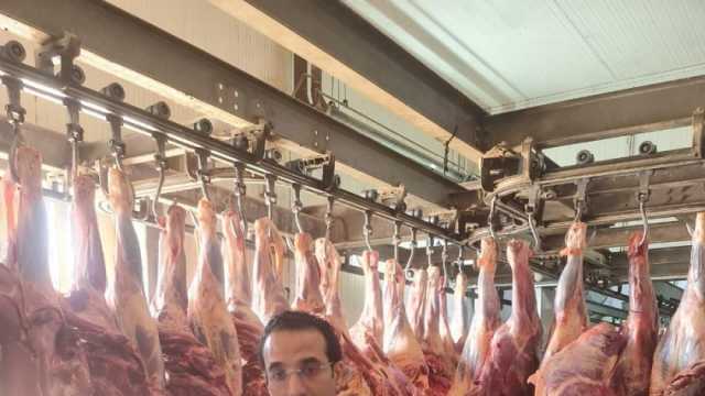 وزير التموين: تخفيض 20% على اللحوم والدواجن بمناسبة عيد الأضحى