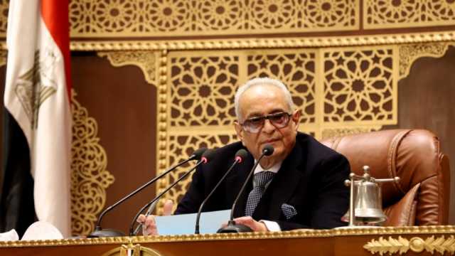 «أبو شقة»: شراء الأسلحة على مدار السنوات الماضية يؤكد بعد رؤية الرئيس السيسي