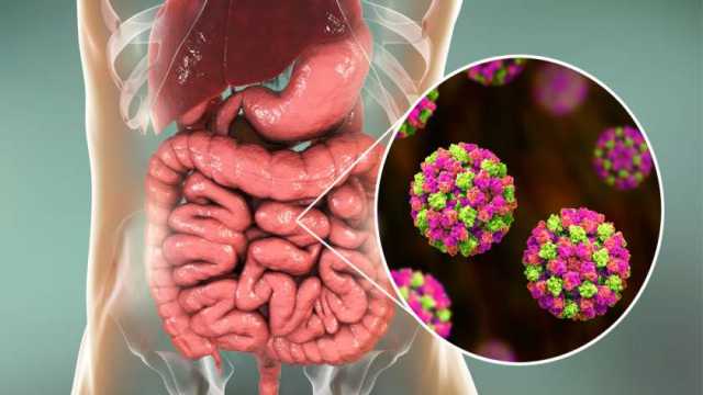 تفشي بيكتيريا E.coli الإشريكية القولونية في بريطانيا.. احذر مسبباتها