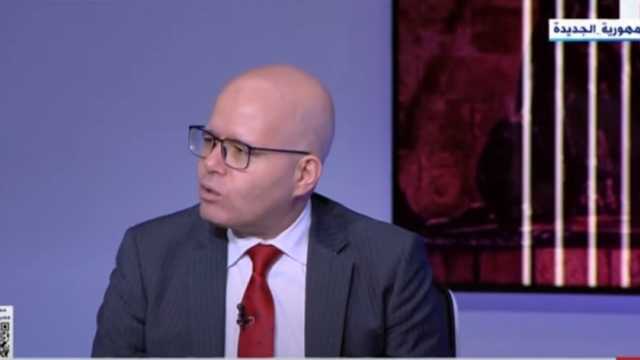 كاتب صحفي: ملف حقوق الإنسان حظي بدعم كبير من القيادة السياسية