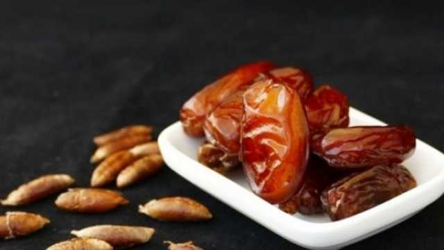 نوع تمر نادر يقي من سموم الأفاعي.. سعره بالدولار
