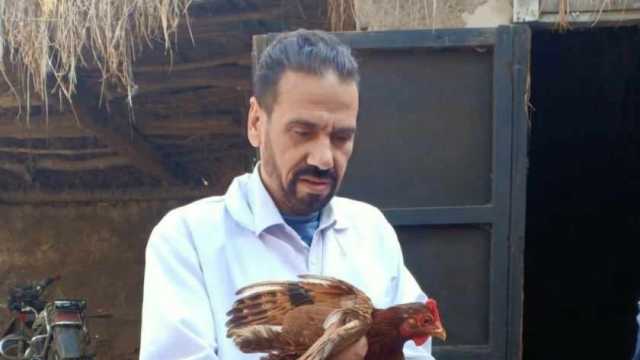 جامعة الزقازيق تطلق قافلة بيطرية مجانية لقرية كفر العلماء بالشرقية