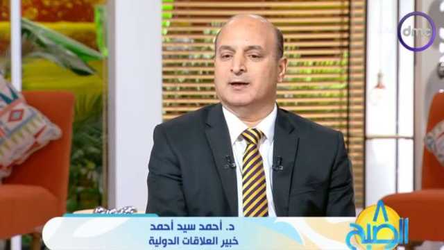 باحث علاقات دولية: إسرائيل تنزف كل يوم من الحرب على غزة