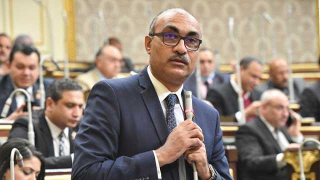 عضو بـ«النواب»: حادث معدية أبوغالب أثبت التقصير الرقابي على أرض الواقع