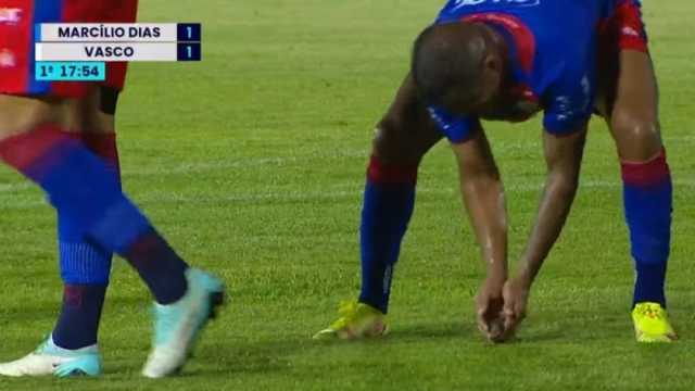 طائر يسرق الأضواء في مباراة بكأس البرازيل.. ماذا فعل؟
