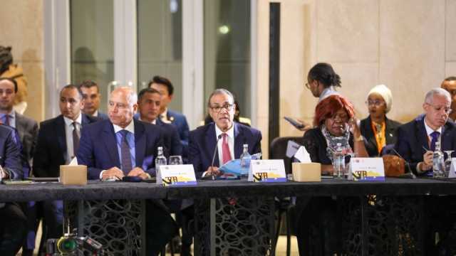 نائب رئيس الوزراء: تجربة مصر في النقل المستدام يمكن تطبيقها بدول أفريقيا